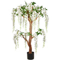 Wisteria sinensis ALBA, 160cm, weiss, im Kunststofftopf 20,5x18,5cm