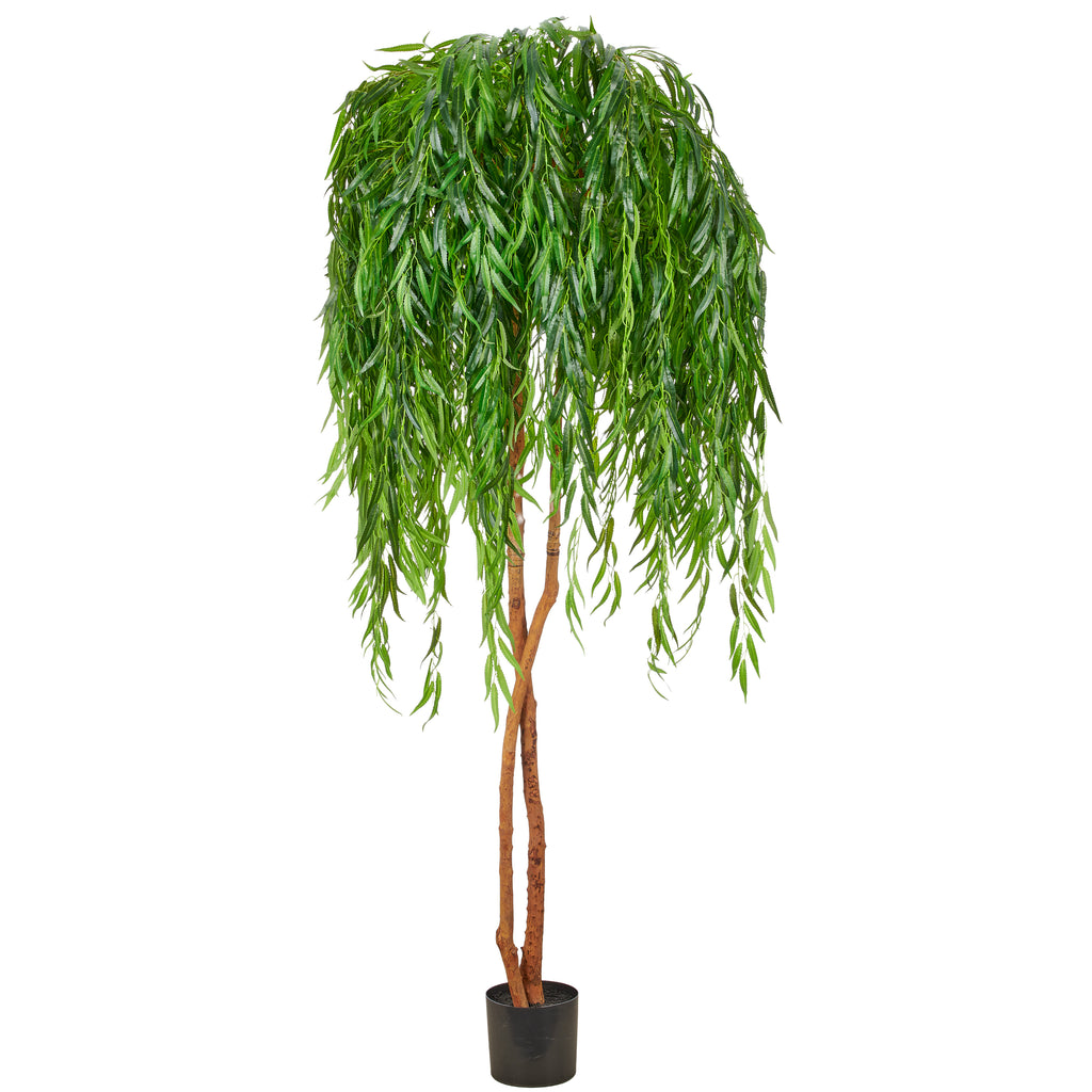 Salix alba, Naturstamm, 220cm, gruen, Kunststoff, im Kunststofftopf 19,5x17,5cm , k.d.p.