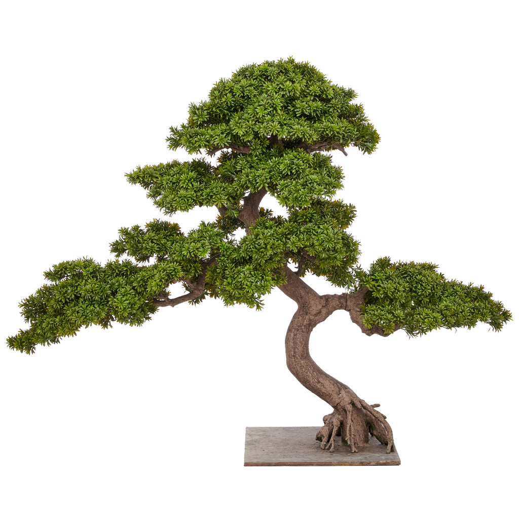 Bonsai Podocarpus macrophyllus, 160x200cm, gruen, Kunststoff, auf Holzplatte 60x60cm, k.d.p.
