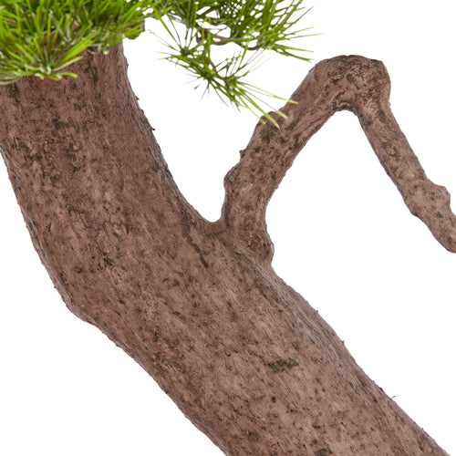 Bonsai Pinus sylvestris, 200x250cm, gruen, Kunststoff, auf Holzplatte 60x60cm, k.d.p.