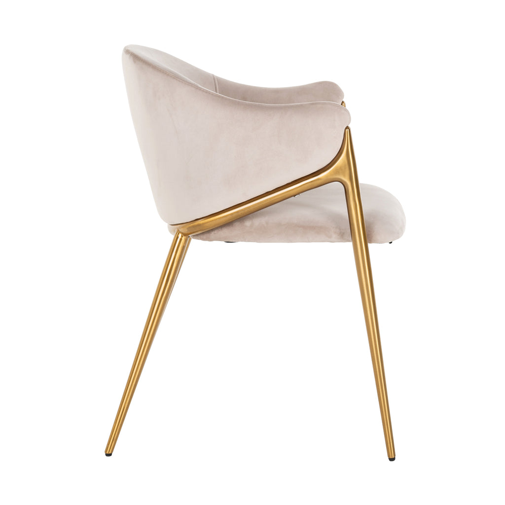 Esszimmerstuhl Gwen khaki velvet fire retardant