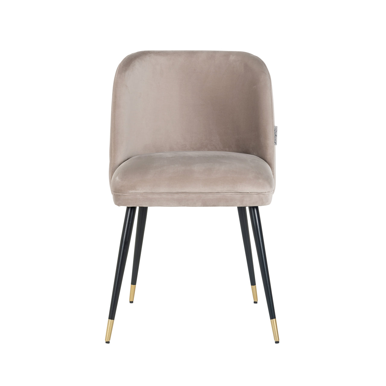 Esszimmerstuhl Alicia khaki velvet fire retardant