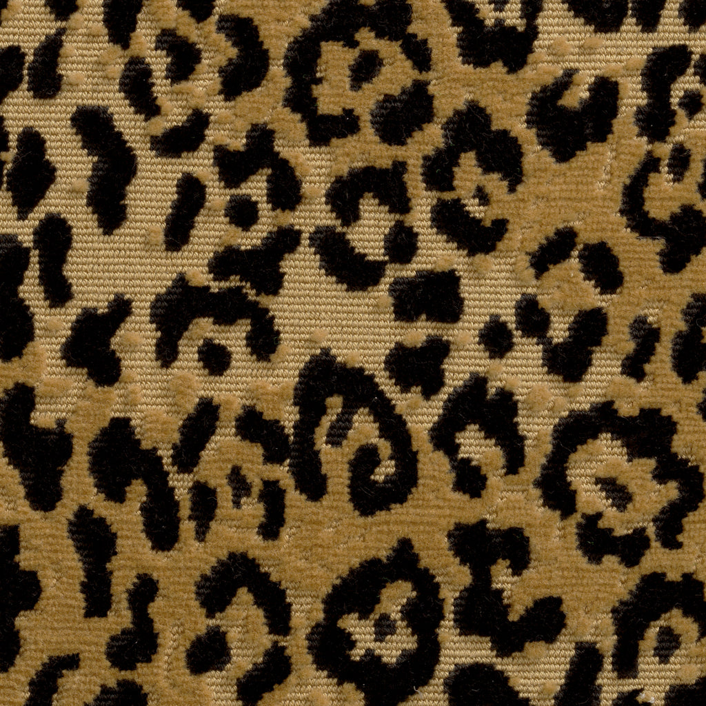Hocker Roosevelt