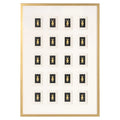 Wandkunst Bear black/gold