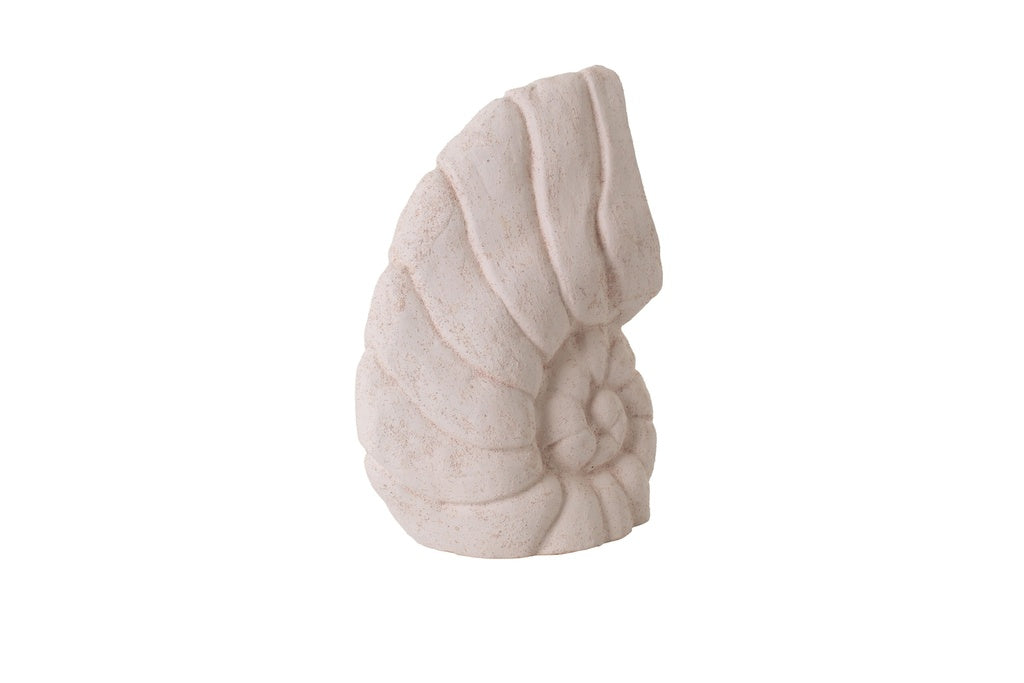 APULU, Muschelschale